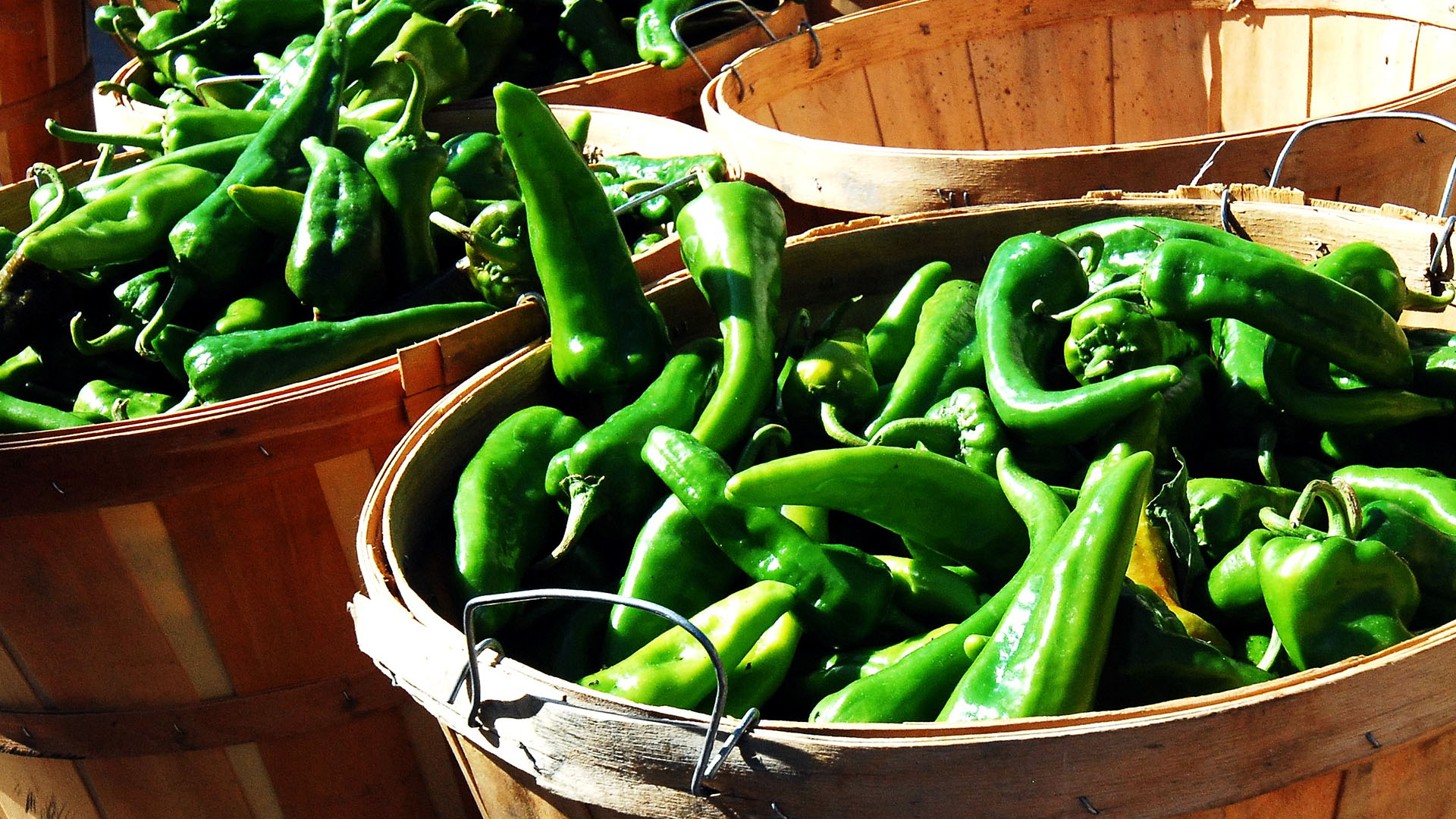 Chile Peppers in New Mexico: Red or Green