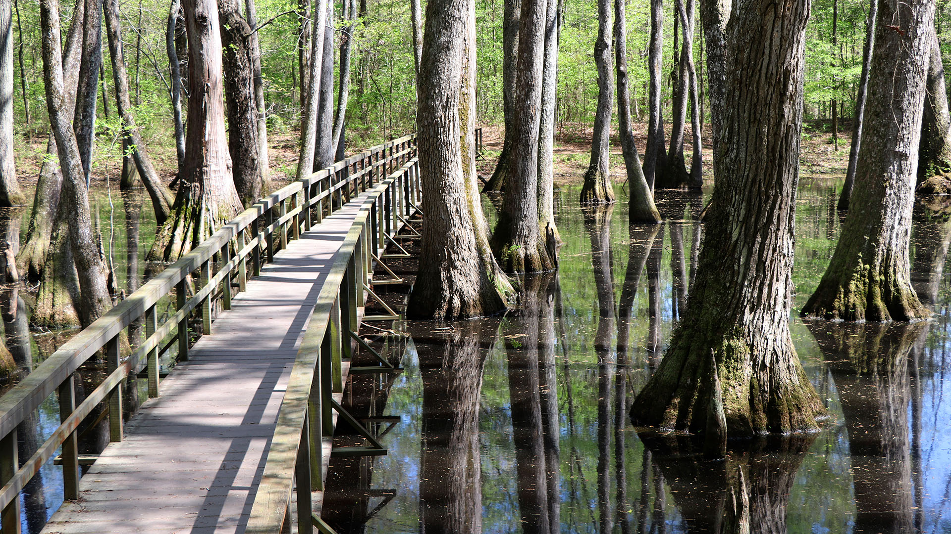 Top Sites along the Natchez Trace Parkway